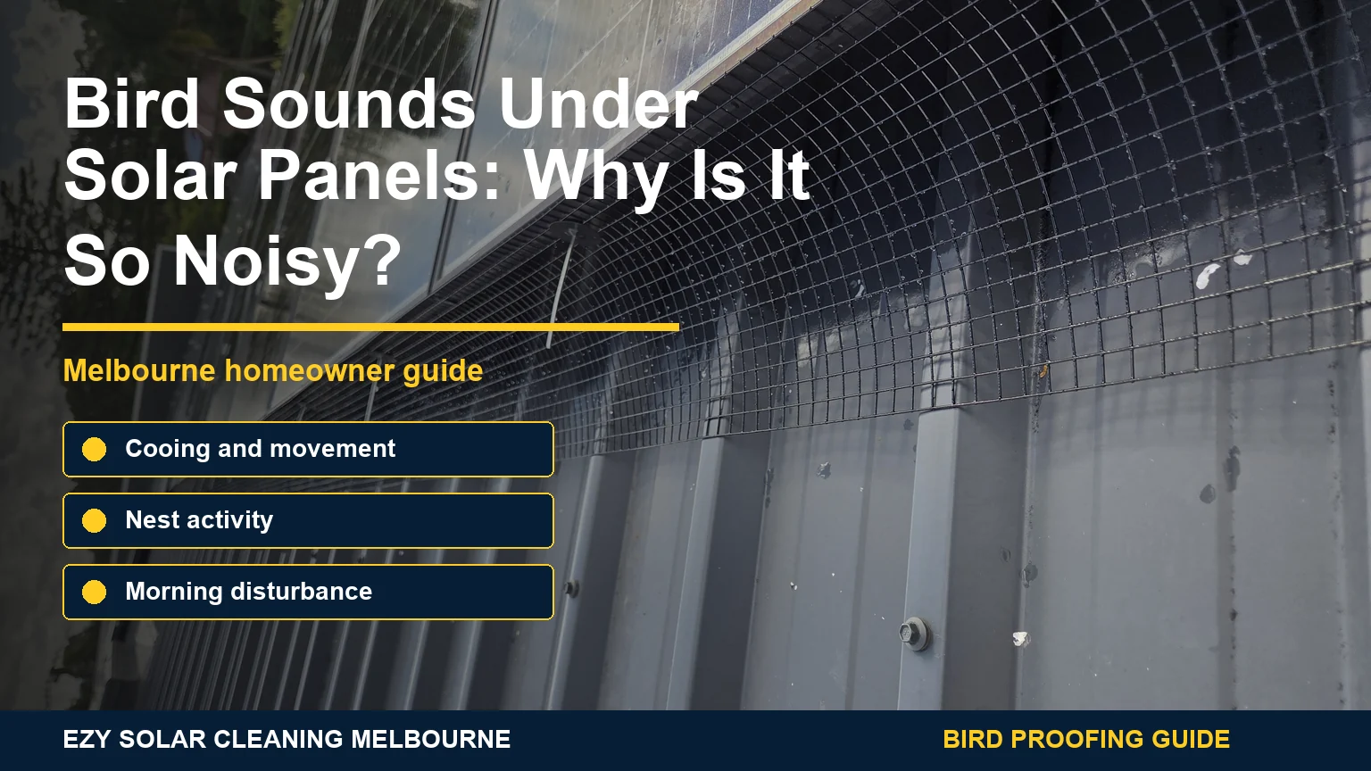 Real rooftop solar panels with bird proofing mesh and infographic callouts about noise from pigeons under panels
