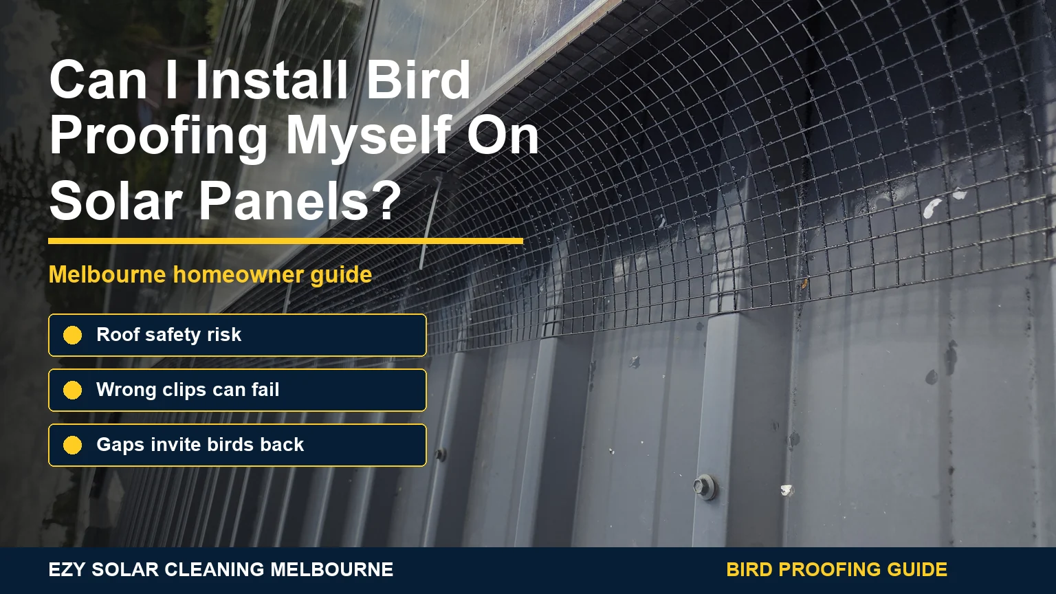 Solar panels with black bird mesh installed along the edge and infographic advice about DIY bird proofing risks