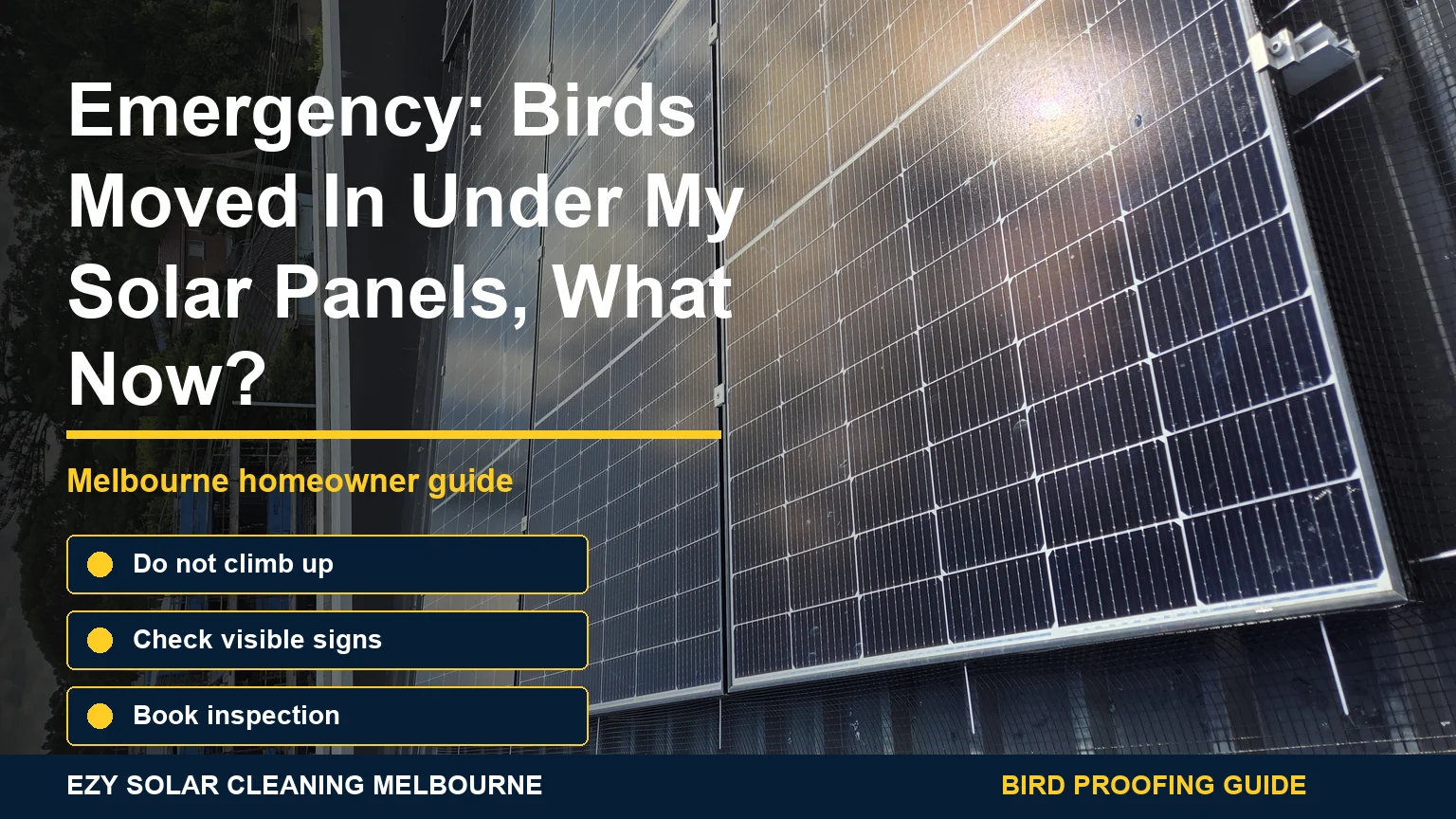 Rooftop solar panels with installed bird mesh and infographic callouts about what to do when birds move under panels