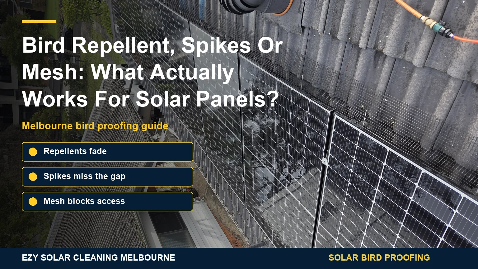 Melbourne solar panel bird mesh infographic comparing repellents spikes and mesh