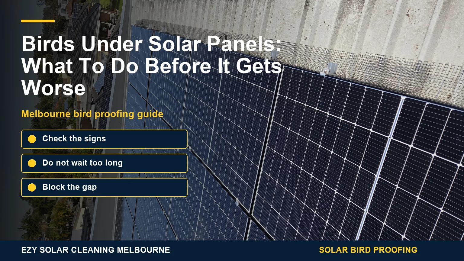Melbourne solar panels with bird mesh showing the gap birds try to access