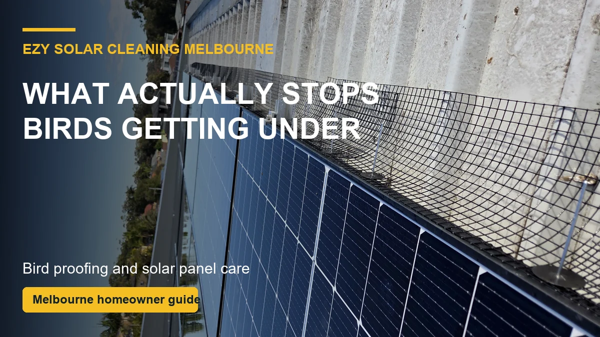 Close view of bird mesh fitted around solar panels to stop pigeons getting underneath in Melbourne