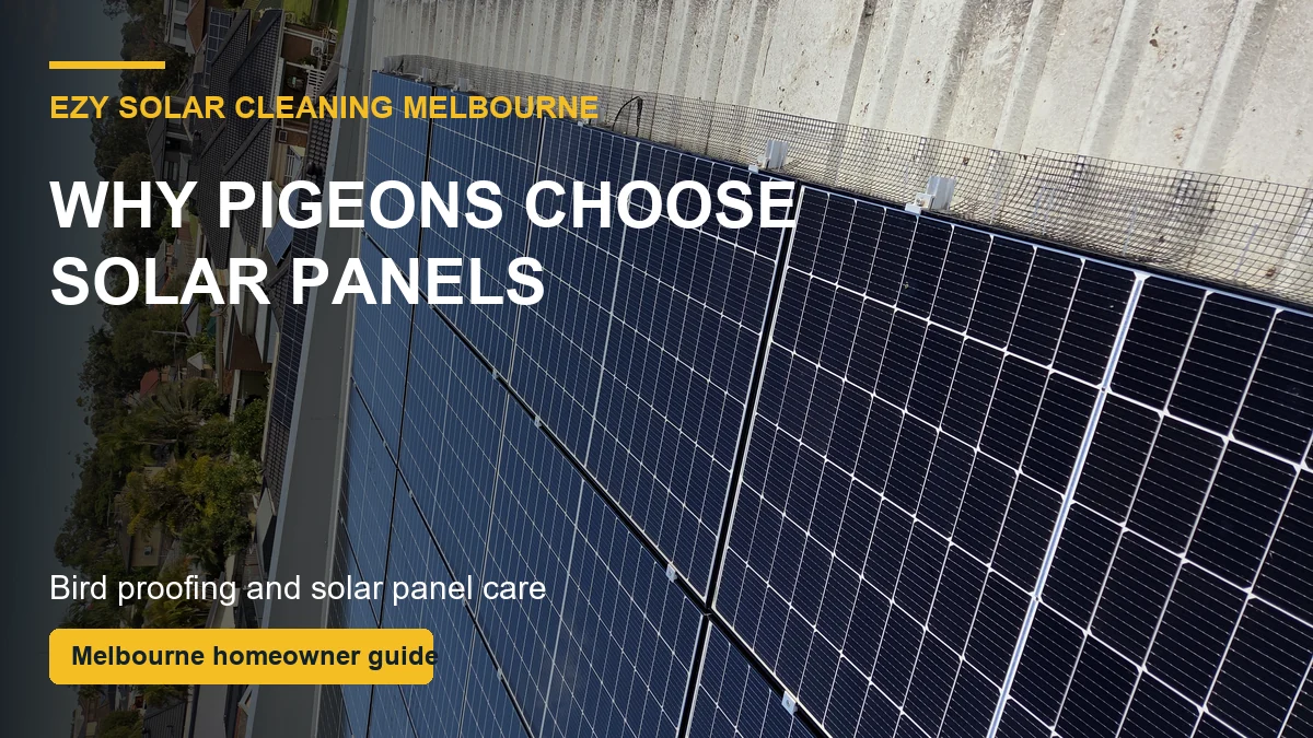 Melbourne solar panels with bird mesh showing the sheltered roof gap pigeons try to access